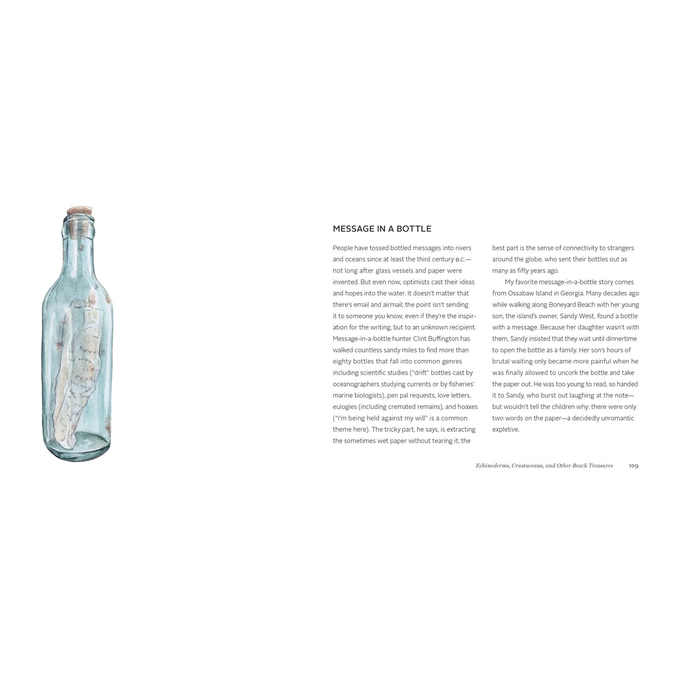 The Beachcomber's Companion