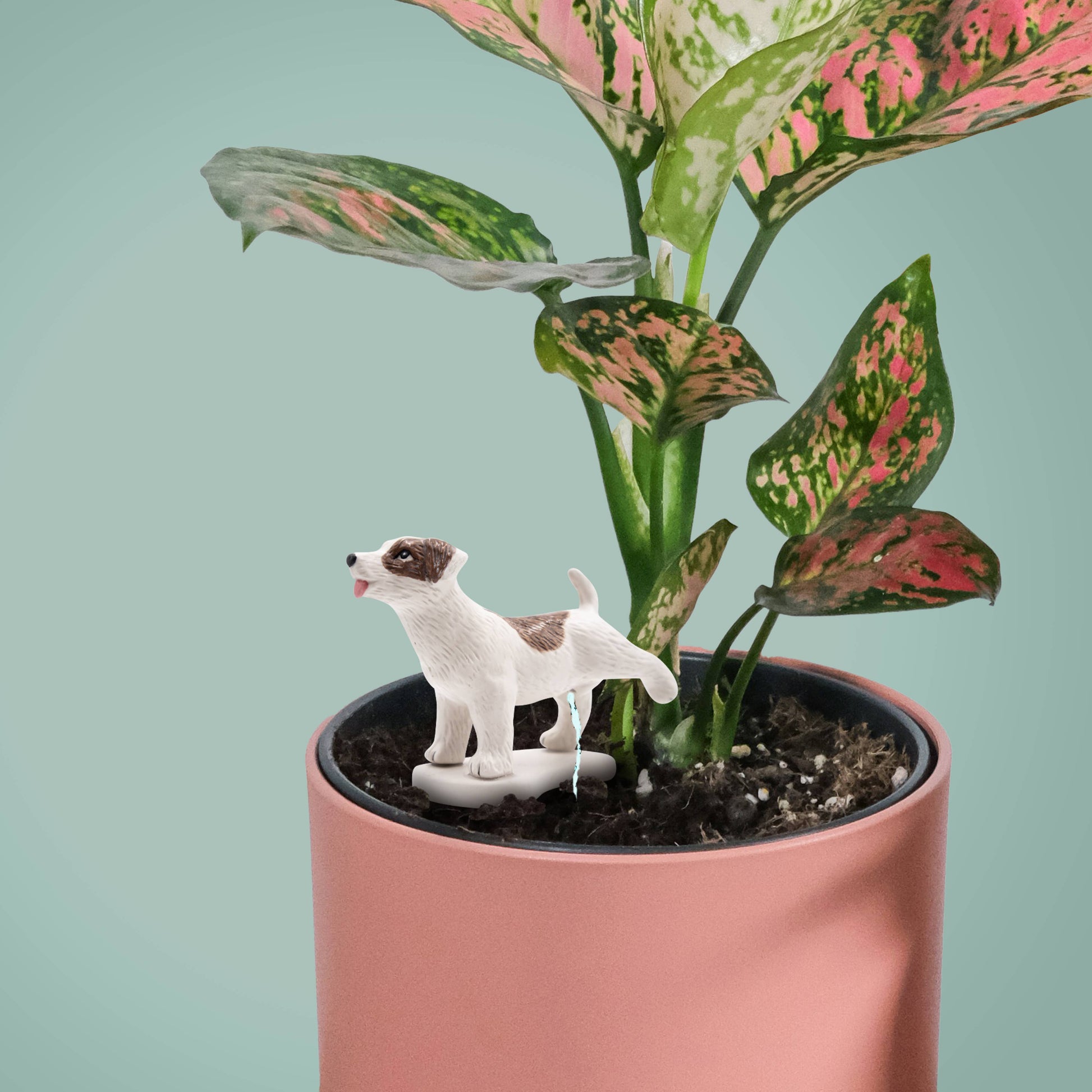 Pee My Plants Dog Watering Decoration - The Feral Market