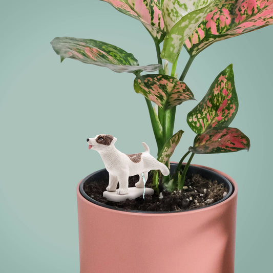 Pee My Plants Dog Watering Decoration - The Feral Market