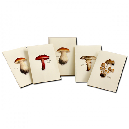 Mushroom Assortment