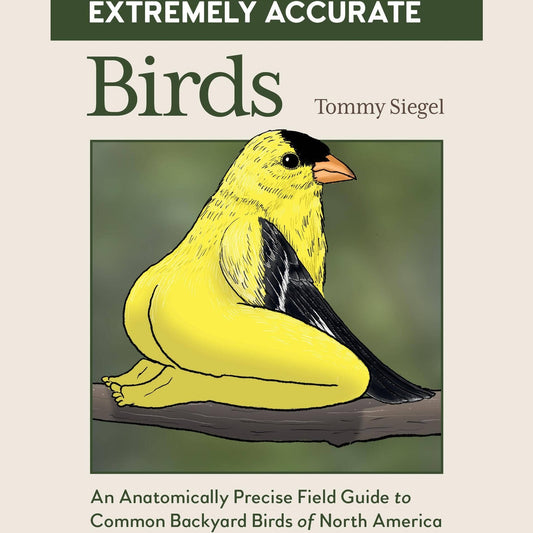 Extremely Accurate Birds