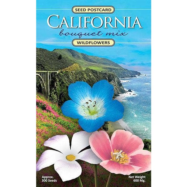 California Bouquet Wildflower Seed Packet - The Feral Market