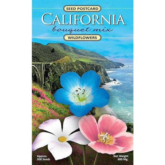 California Bouquet Wildflower Seed Packet - The Feral Market