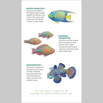Temporary Tattoos That Teach: Ocean Animals