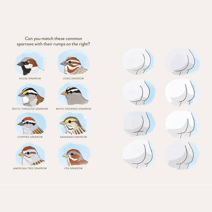 Extremely Accurate Birds