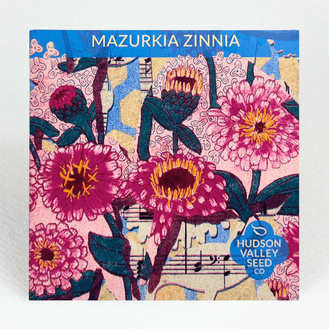 Mazurkia Zinnia - The Feral Market