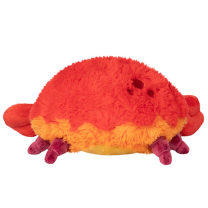Mini Squishable Crab