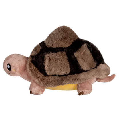 Mini Squishable Tortoise