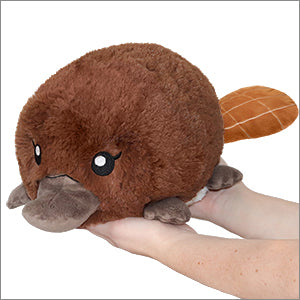 Mini Squishable Baby Platypus