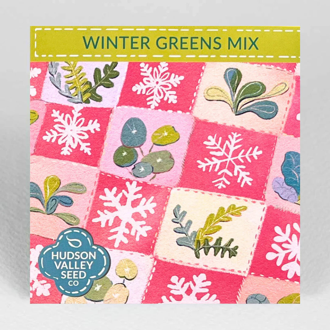 Winter Greens Mix - The Feral Market
