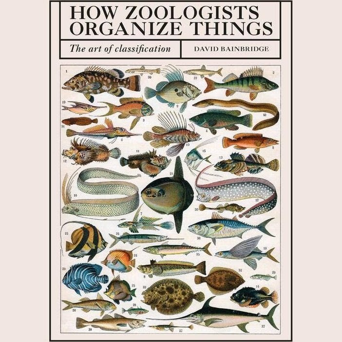 How Zoologists Organize Things: The Art of Classification