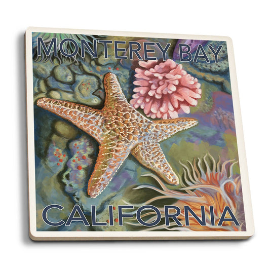 Monterey Bay, California, Tidepool 53261