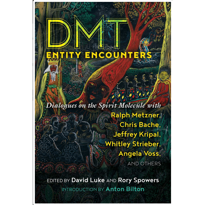 DMT Entity Encounters: Dialogues on the Spirit Molecule