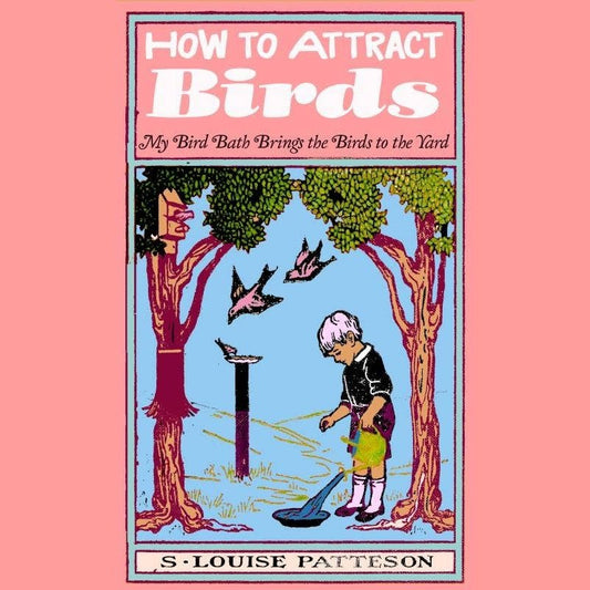 How to Attract Birds (Zine)