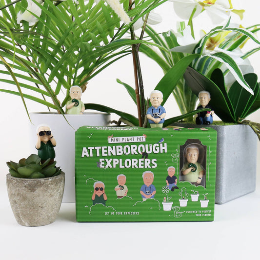 Mini Plant Pot Attenborough Explorer Markers