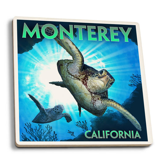 Monterey, California, Sea Turtles Diving …