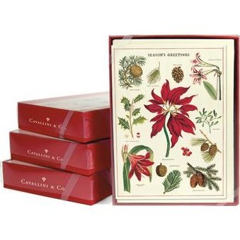 Christmas Botanica Boxed Notes