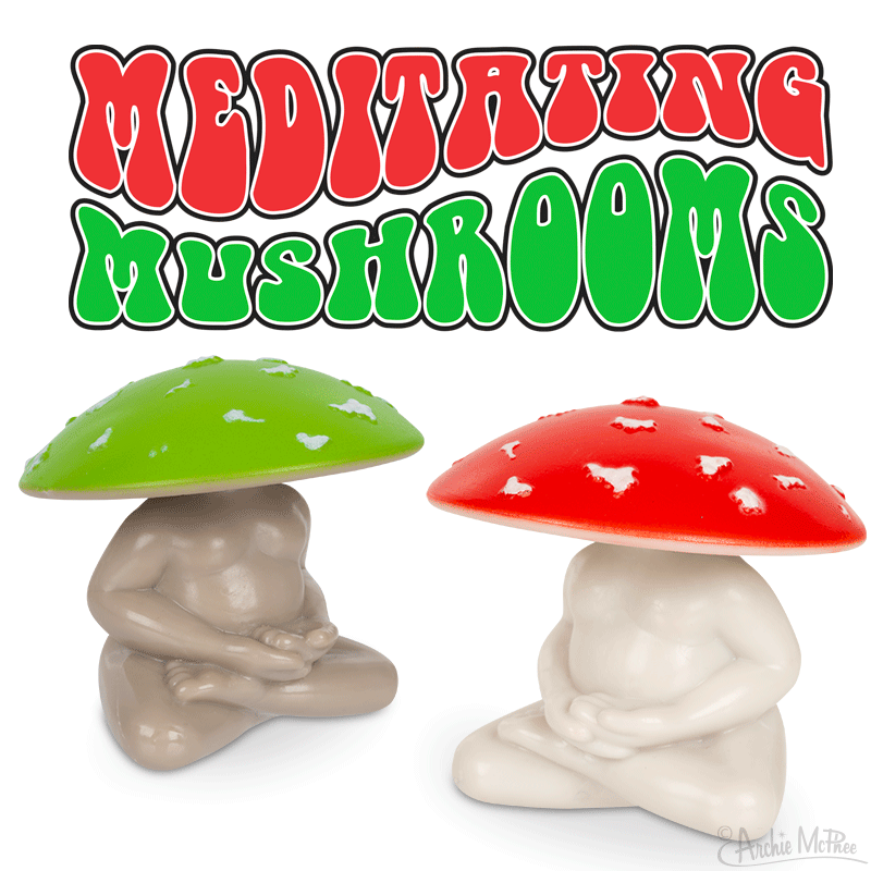 MEDITATING MUSHROOM