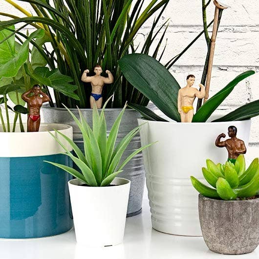 Mini Hunk Planter Markers