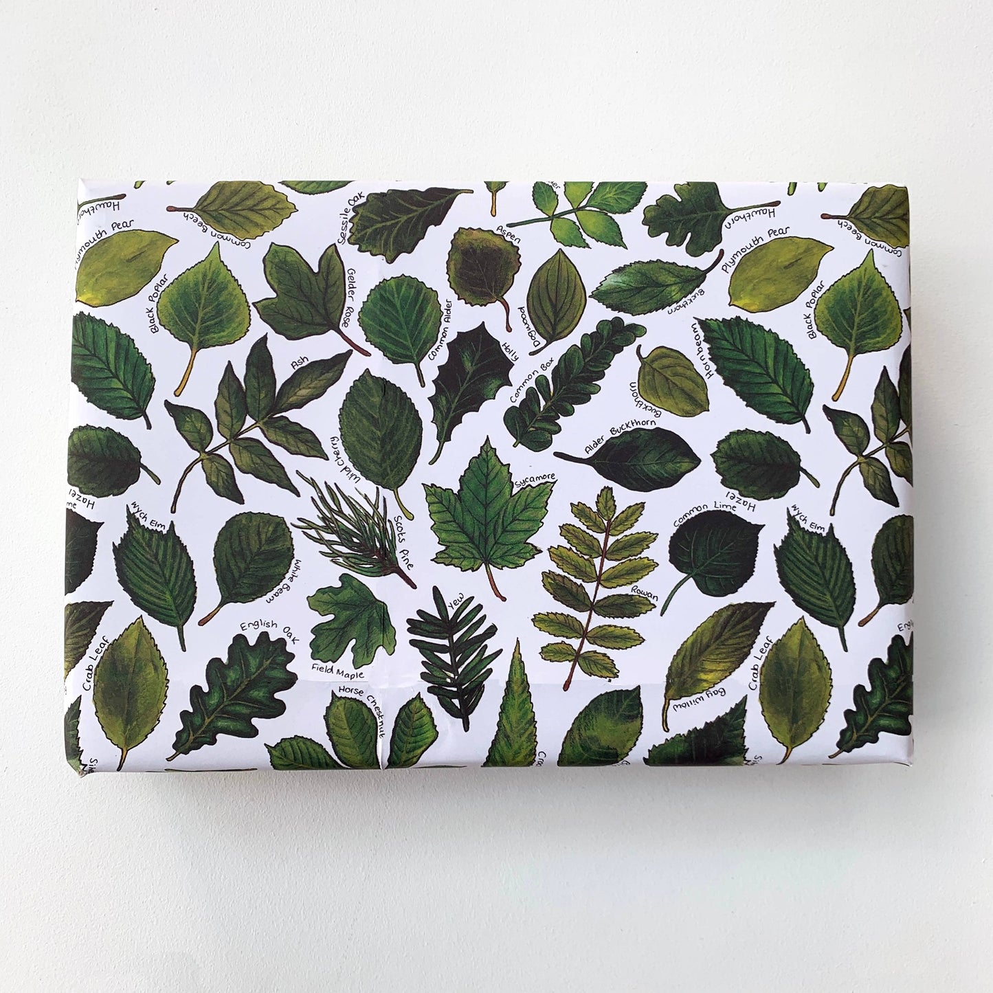 Leaves of Britain wrapping paper Sheets
