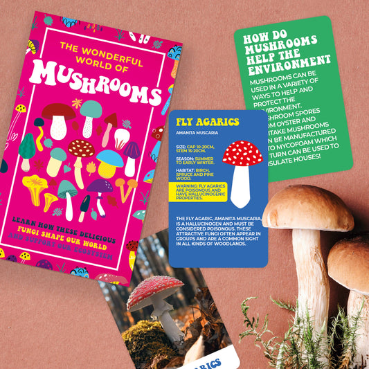 The Wonderful World of Mushrooms Card Pack