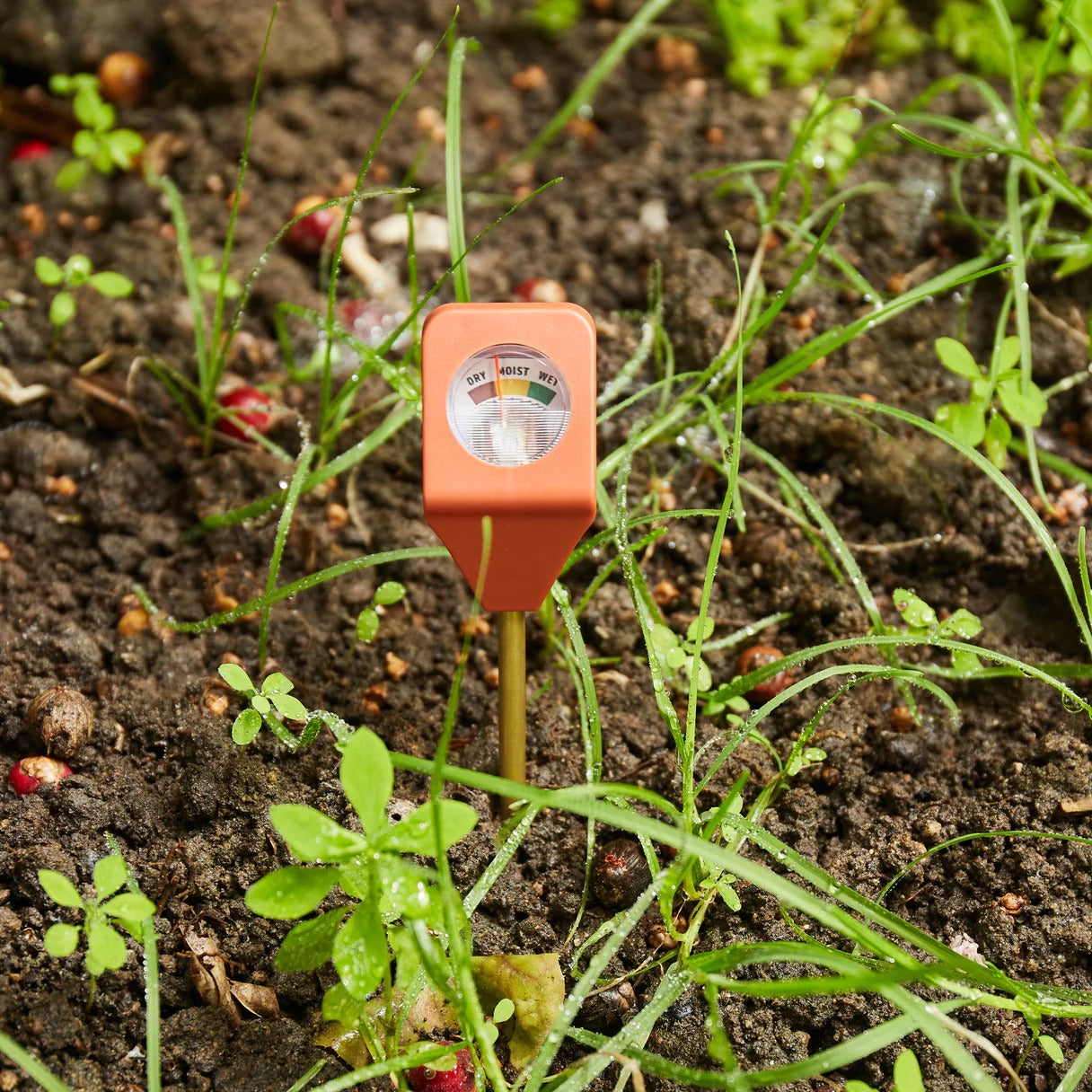 Garden Hydrometer